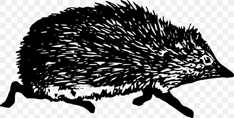 Hedgehog Clip Art, PNG, 2052x1034px, Hedgehog, Animal, Black And White, Digital Scrapbooking, Domesticated Hedgehog Download Free