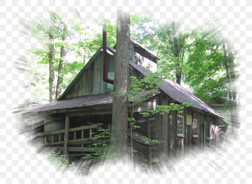 Tree Cottage Cabane, PNG, 800x599px, Tree, Building, Cabane, Cottage, House Download Free