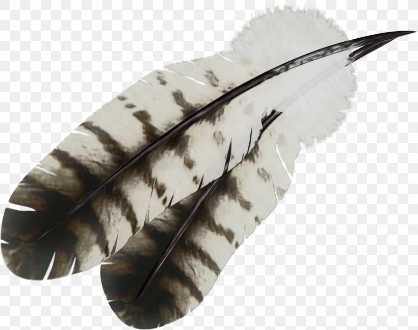 Eagle Cartoon, PNG, 2185x1725px, Feather, Cdr, Eagle Feather Law, Leaf, Natural Material Download Free