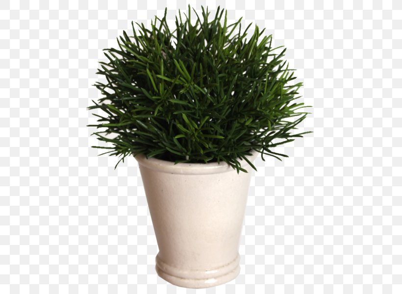 Flowerpot Houseplant Shrub Herb, PNG, 467x600px, Flowerpot, Grass, Herb, Houseplant, Plant Download Free