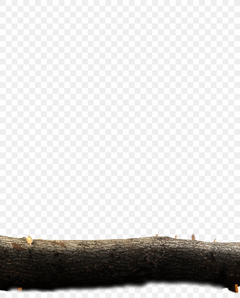 Wood /m/083vt Tree, PNG, 1290x1600px, Wood, Grass, Tree Download Free