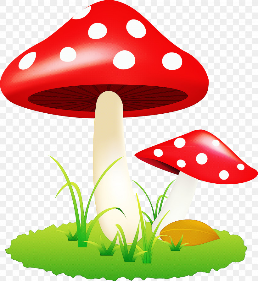 Mushroom, PNG, 2746x3000px, Mushroom, Agaric, Fungus Download Free