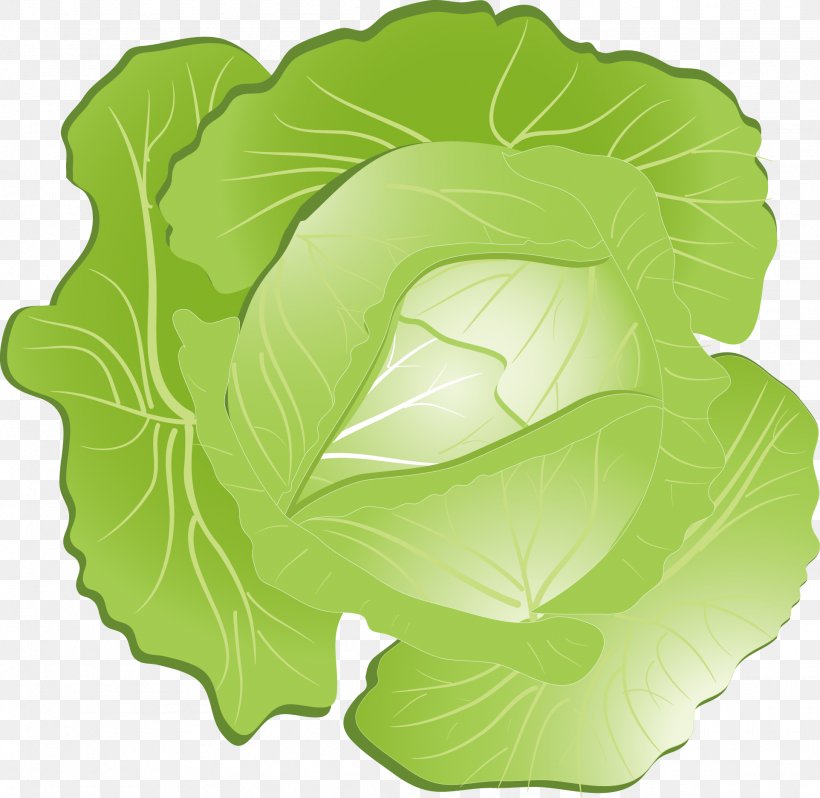 Red Cabbage Kohlrabi Clip Art, PNG, 1924x1874px, Cabbage, Brassica Oleracea, Chinese Cabbage, Food, Green Download Free