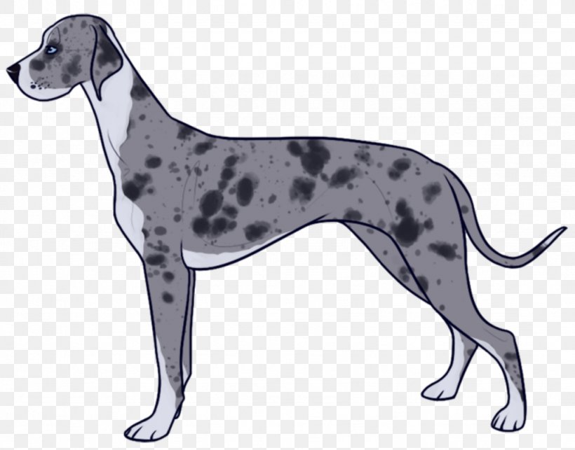 Dalmatian Dog Great Dane Italian Greyhound Sloughi Spanish Greyhound, PNG, 1024x804px, Dalmatian Dog, Breed, Carnivoran, Crossbreed, Dalmatian Download Free