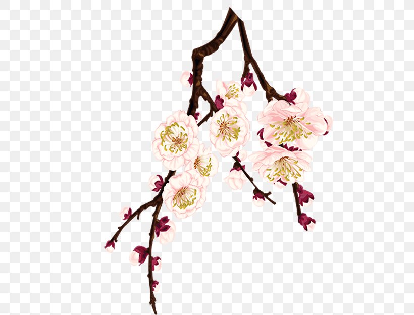 Plum Blossom Flower, PNG, 690x624px, Plum Blossom, Blossom, Branch, Cherry, Cherry Blossom Download Free