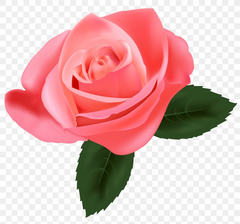 Rose Pink Flower Clip Art, PNG, 4000x3747px, Rose, Blue, China Rose, Cut Flowers, Floral Design Download Free