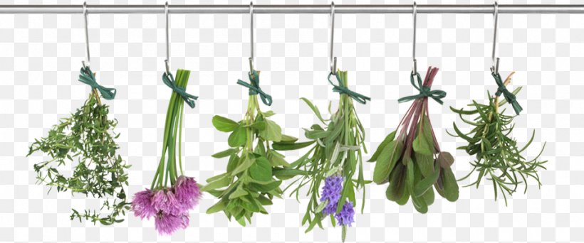 Herb Food Drying Vegetable Thyme, PNG, 950x397px, Herb, Aquarium Decor, Branch, Condiment, Cooking Download Free
