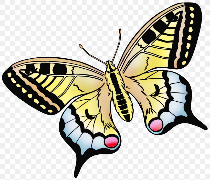 Moths And Butterflies Butterfly Papilio Machaon Insect Cynthia (subgenus), PNG, 2256x1935px, Watercolor, Animal Figure, Brushfooted Butterfly, Butterfly, Cynthia Subgenus Download Free