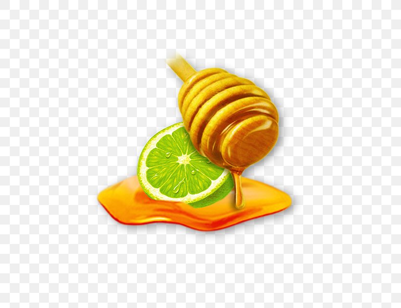 Lemon Lime Citric Acid Orange S.A., PNG, 600x631px, Lemon, Acid, Citric Acid, Citrus, Food Download Free