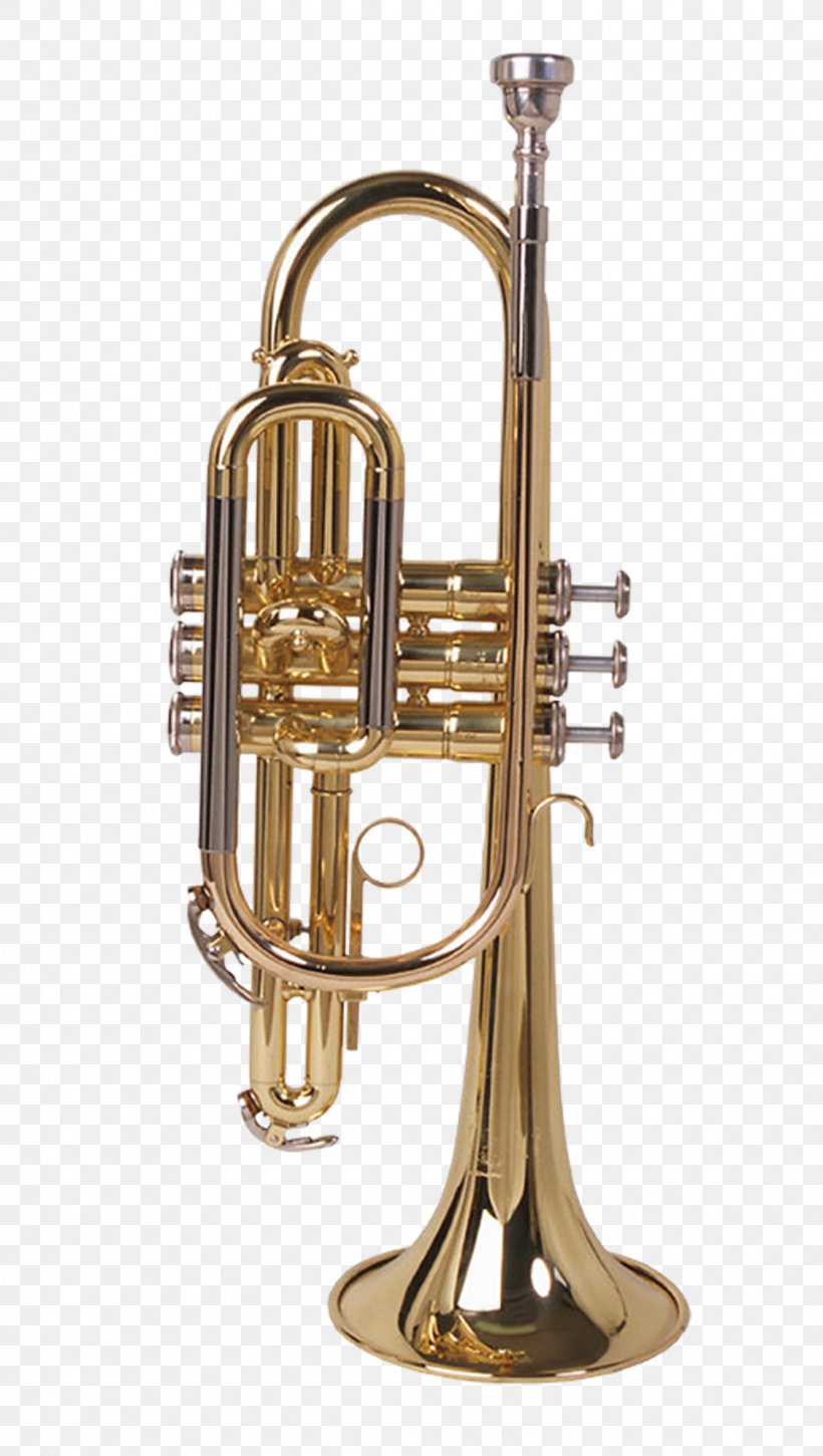 Wind Instrument Musical Instrument Trumpet Cornet, PNG, 1124x1988px, Watercolor, Cartoon, Flower, Frame, Heart Download Free