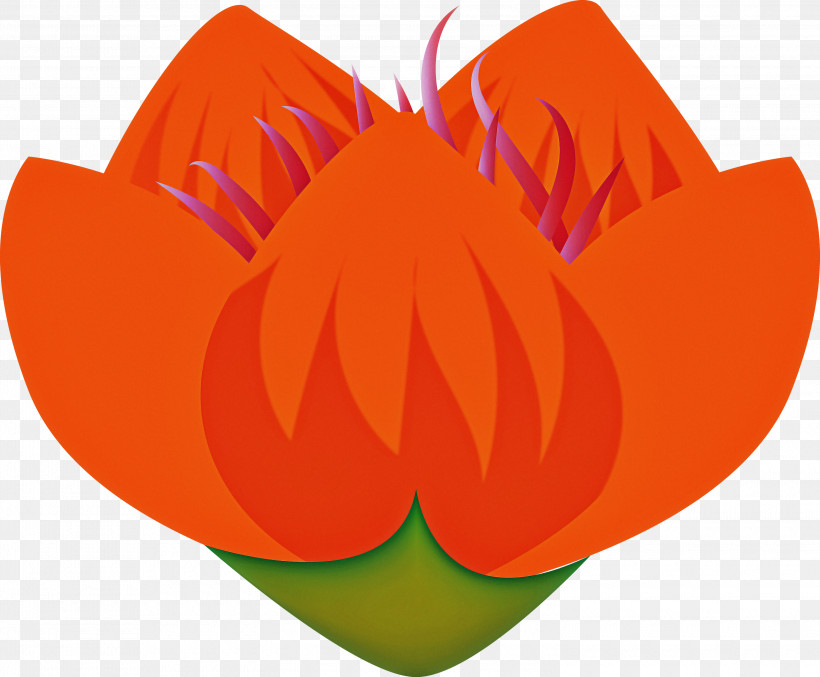 Diwali, PNG, 3000x2480px, Diwali, Flower, Fruit, Leaf, Orange Download Free