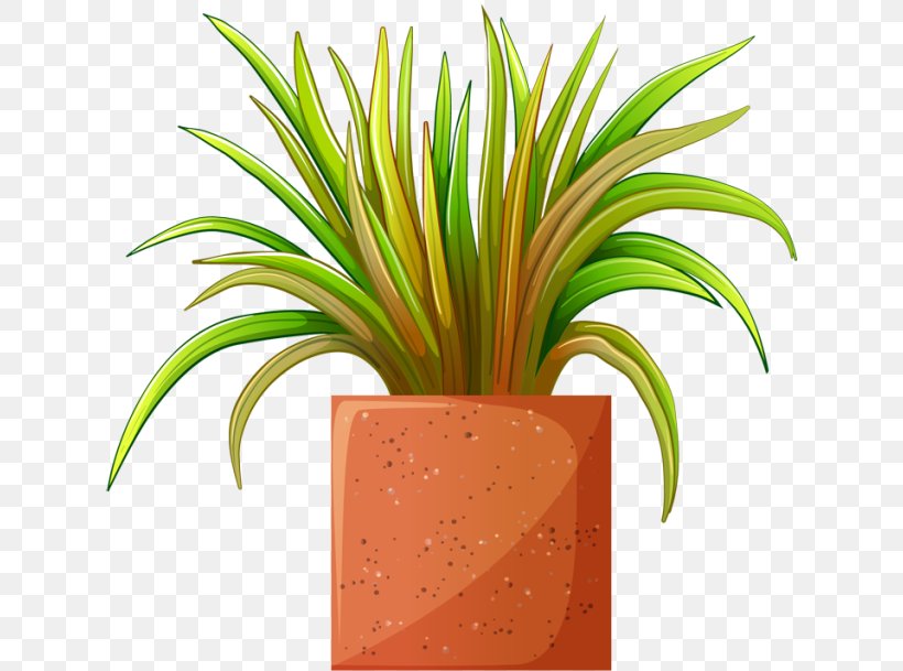 Clip Art Flowerpot Houseplant Illustration, PNG, 640x609px, Flowerpot, Arecales, Botany, Bromeliaceae, Flower Download Free