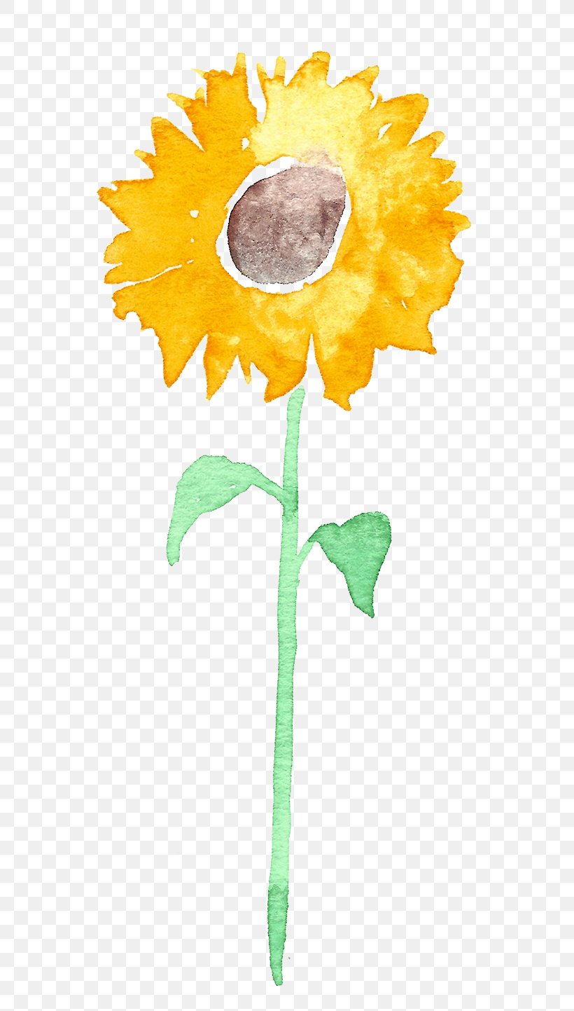 Common Sunflower Love Letters In The Wall Clip Art, PNG, 648x1443px, Common Sunflower, Blog, Cut Flowers, Daisy Family, Flower Download Free