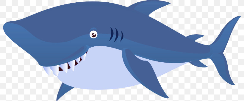 Sharks Animation 2021 Cartilaginous Fishes Fish, PNG, 800x342px, Sharks, Animation, Cartilaginous Fishes, Cartoon, Cartoon M Download Free