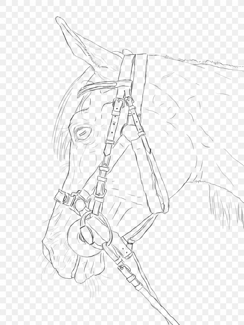 Arabian Horse Line Art Mustang Drawing Sketch, PNG, 2112x2816px, Arabian Horse, Arm, Art, Artwork, Black And White Download Free
