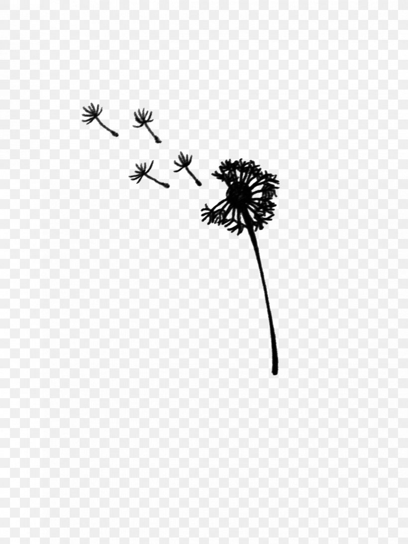 Dandelion Black And White Drawing, PNG, 1224x1632px, Dandelion, Black, Black And White, Body Jewelry, Branch Download Free