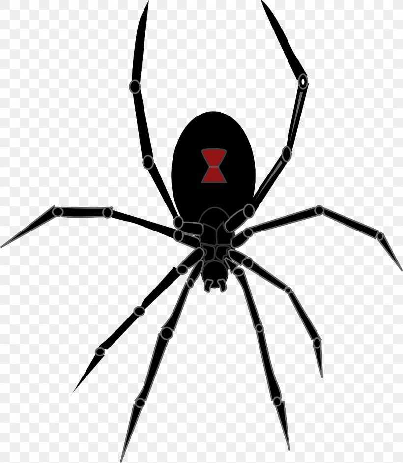 Redback Spider Southern Black Widow Drawing Clip Art, PNG, 1114x1280px, Spider, Arachnid, Art, Arthropod, Black And White Download Free