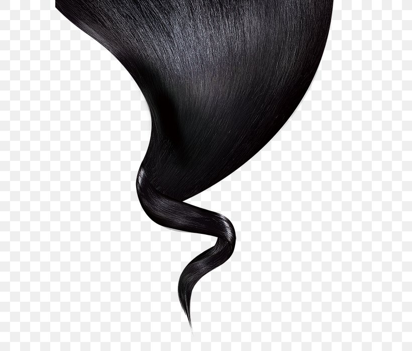 Clip Art Head Hair Image, PNG, 600x698px, Hair, Beauty Parlour, Black Hair, Brown Hair, Dandruff Download Free