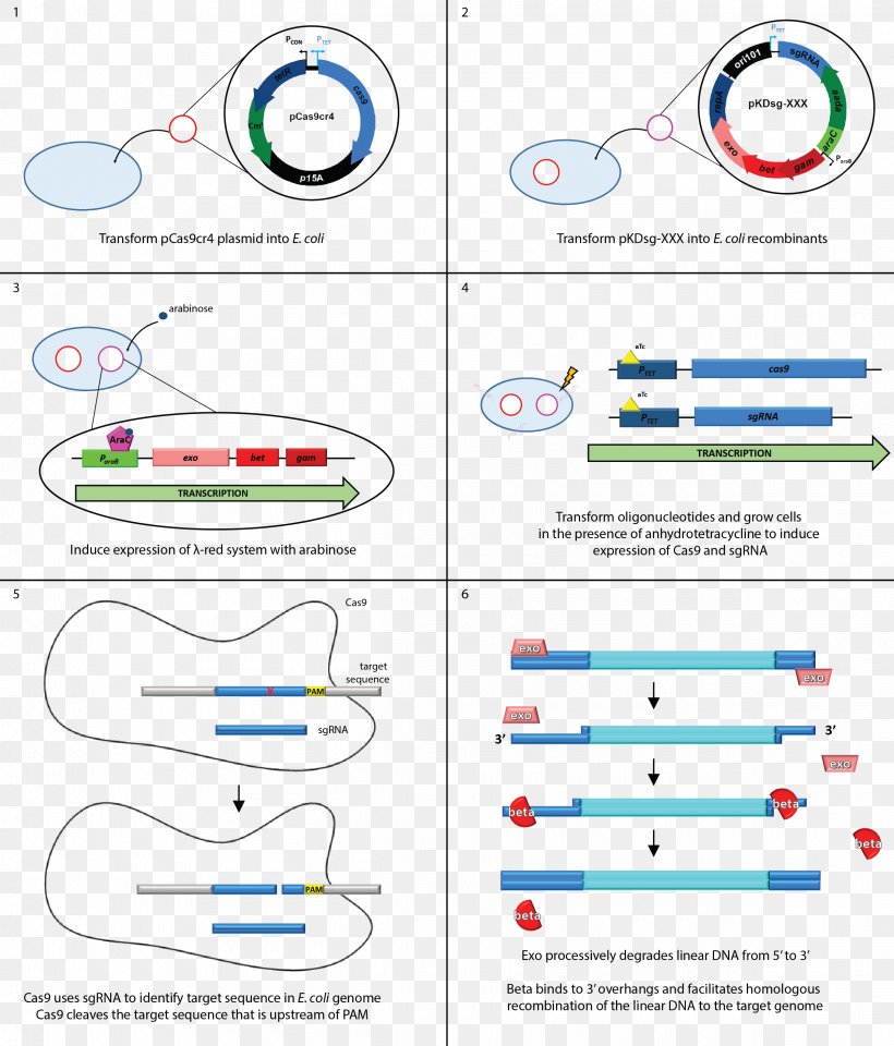 Line Document, PNG, 2400x2810px, Document, Area, Brand, Diagram, Material Download Free