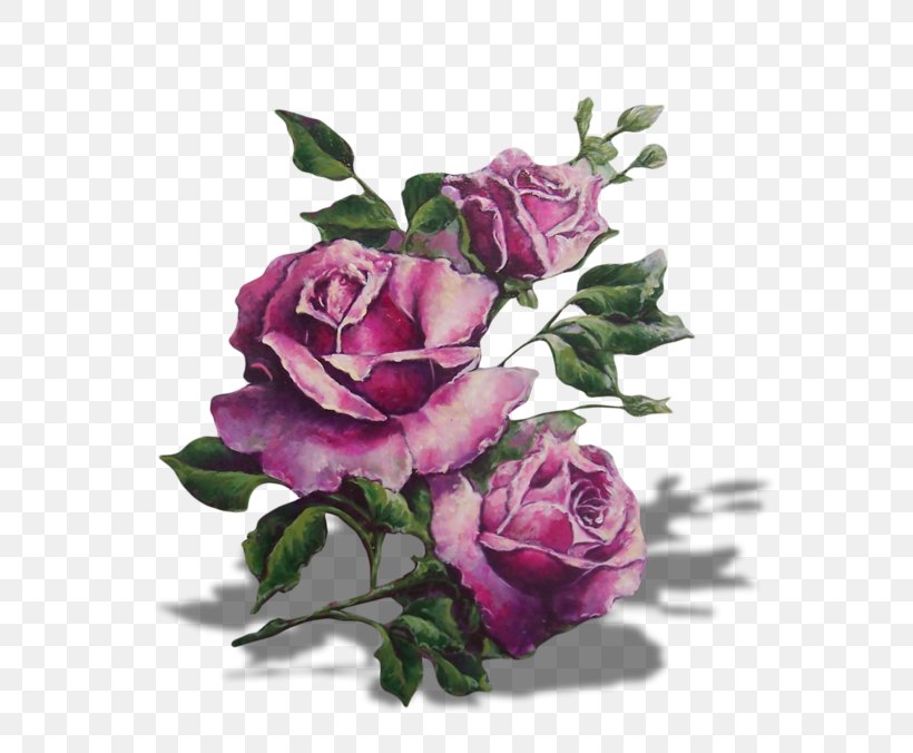 Purple Lavender Lilac Garden Roses Flower, PNG, 800x676px, Purple, Artificial Flower, Blue, Centifolia Roses, Color Download Free