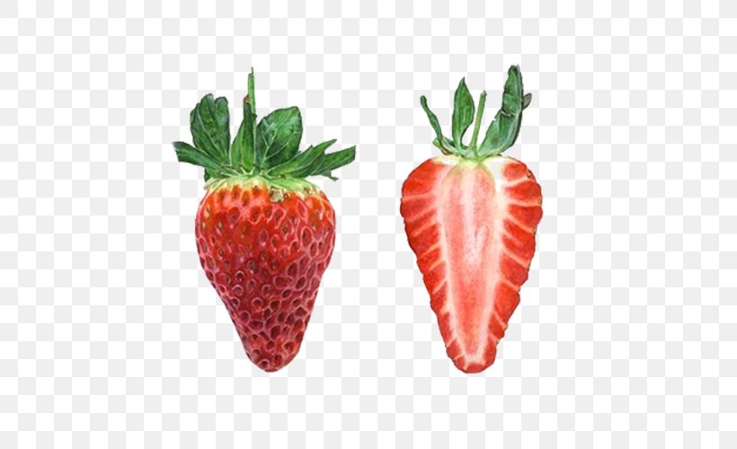 Strawberry Tart Watercolor Painting, PNG, 669x500px, Strawberry, Aedmaasikas, Art, Berry, Botanical Illustration Download Free