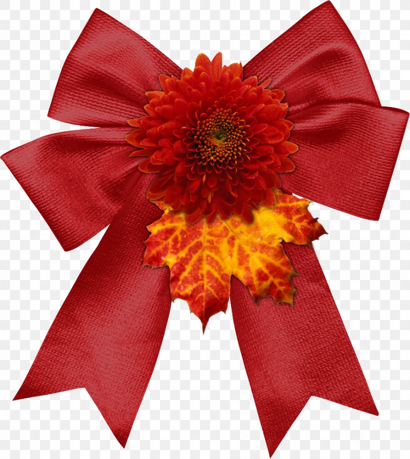 Clip Art Red Ribbon, PNG, 893x1000px, Ribbon, Birthday, Christmas Day, Cut Flowers, Daisy Family Download Free