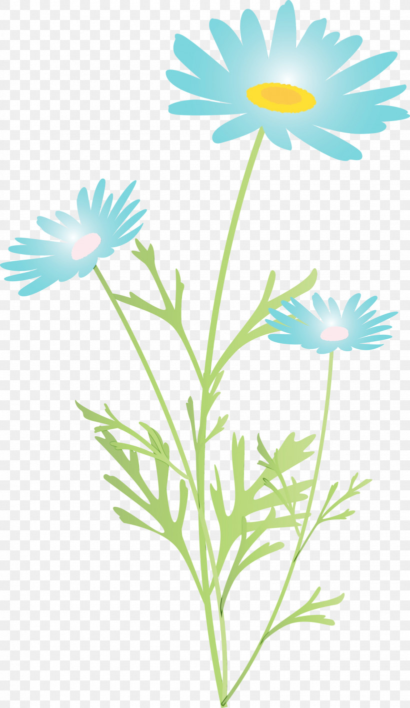 Daisy, PNG, 1737x2999px, Marguerite Flower, Camomile, Chamomile, Daisy, Daisy Family Download Free