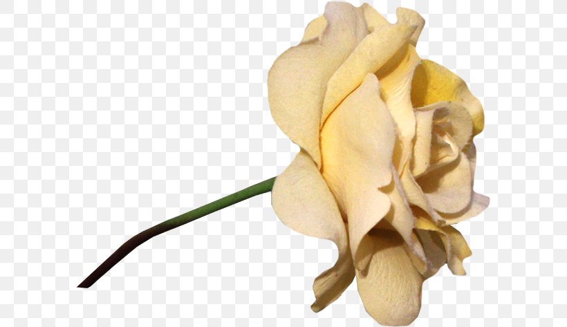 Garden Roses Paper Flower, PNG, 600x473px, Garden Roses, Artificial Flower, Cut Flowers, Flower, Flower Bouquet Download Free