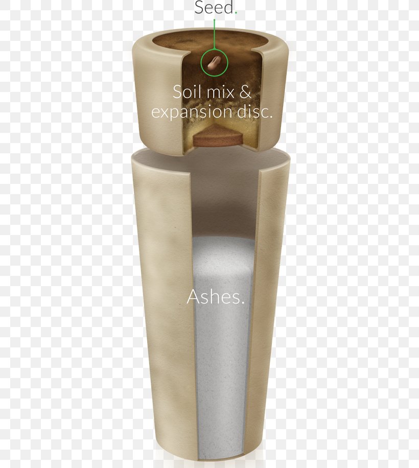 The Ashes Urn The Ashes Urn Biodegradation Cremation, PNG, 579x916px, Urn, Ashes, Ashes Urn, Biodegradation, Bios Download Free