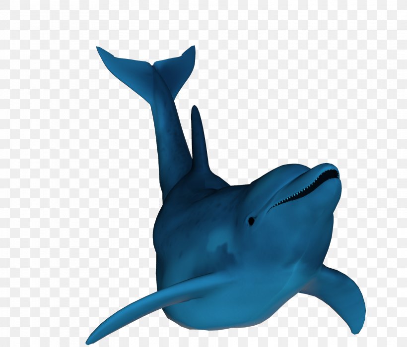 Common Bottlenose Dolphin Tucuxi Shark Cobalt Blue, PNG, 1872x1600px, Common Bottlenose Dolphin, Animal, Animal Figure, Biology, Blue Download Free