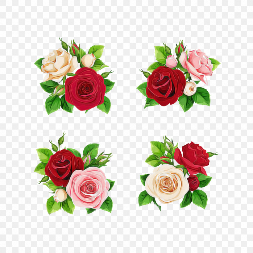 Garden Roses, PNG, 1000x1000px, White, Bouquet, Camellia, Cut Flowers, Floribunda Download Free