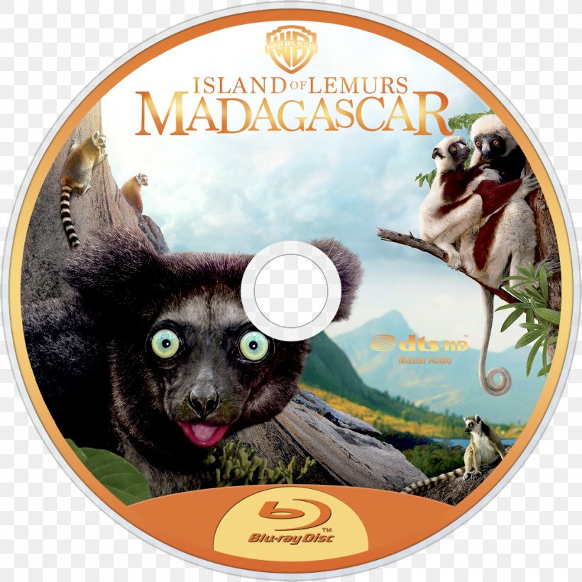 Lemurs Madagascar Documentary Film IMAX, PNG, 1000x1000px, Lemurs, Documentary Film, Dvd, Fauna, Film Download Free