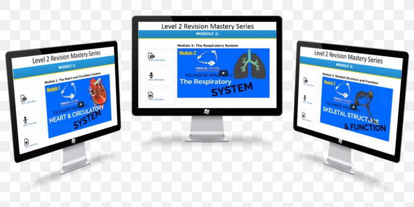 Anatomy Physiology Computer Monitors Information Study Skills, PNG, 1024x513px, Anatomy, Brand, Business, Communication, Computer Monitor Download Free