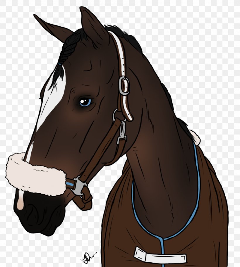 Halter Horse Harnesses Mustang Bridle Rein, PNG, 900x1003px, Halter, Bit, Bridle, Cartoon, Dog Harness Download Free
