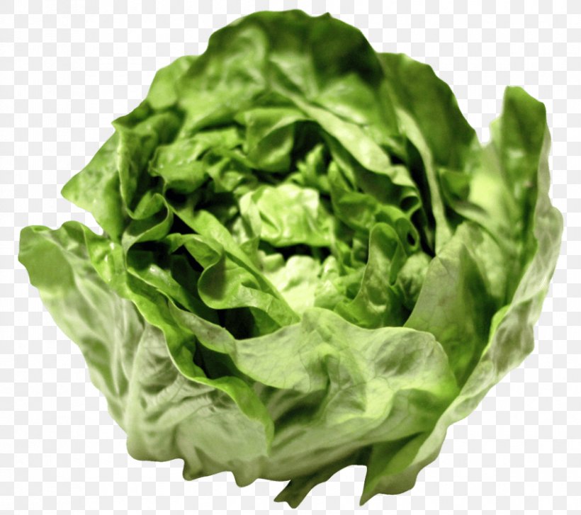 Lettuce Sandwich Lettuce Growing Caesar Salad Vegetarian Cuisine Greens, PNG, 850x754px, Lettuce Sandwich, Butterhead Lettuce, Caesar Salad, Celtuce, Chard Download Free