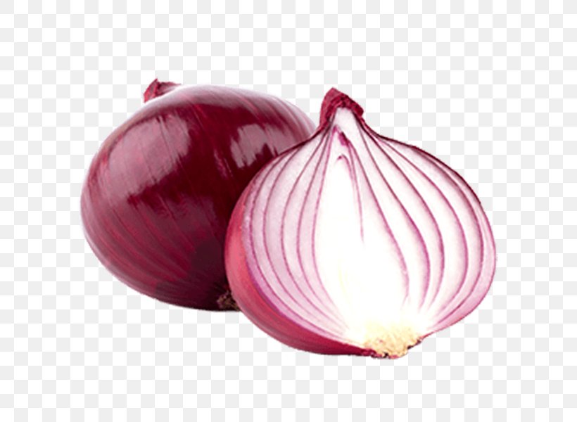 Red Onion Food Vegetable Shallot Yellow Onion, PNG, 600x600px, Red Onion, Allicin, Alliin, Allium, Food Download Free