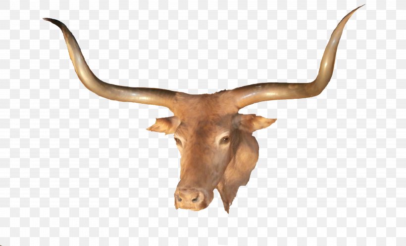 Texas Longhorn LongHorn Steakhouse, PNG, 3944x2400px, Texas Longhorn, Animal, Antelope, Antler, Cattle Download Free