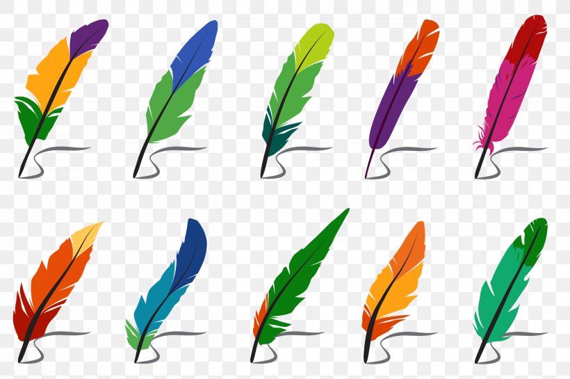 Vector Graphics Clip Art Image Illustration, PNG, 2500x1662px, Plumas De Colores, Beak, Bird, Fashion Accessory, Feather Download Free