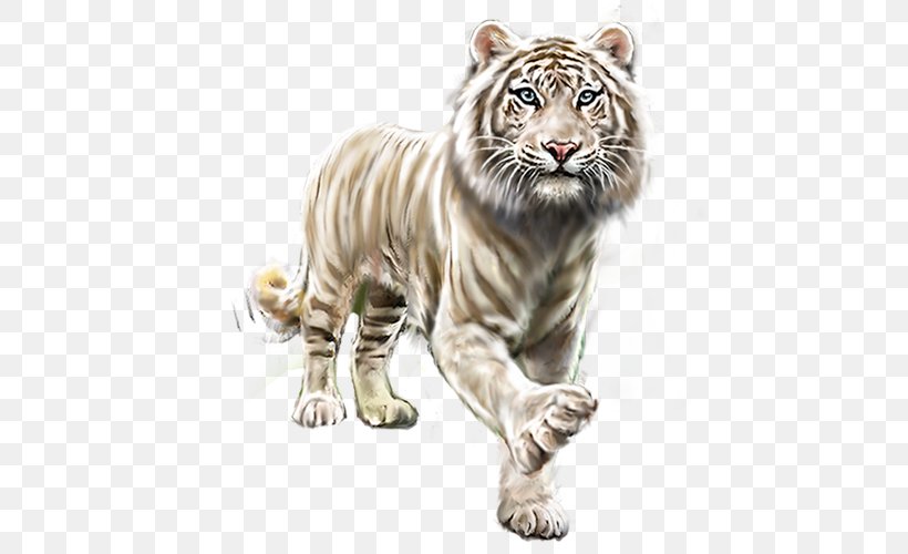 White Tiger Gorilla Lion, PNG, 800x500px, Tiger, Animal, Big Cat, Big Cats, Carnivoran Download Free