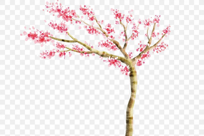 Child High-definition Television Display Resolution Wallpaper, PNG, 2325x1550px, Child, Blossom, Branch, Cherry Blossom, Computer Download Free