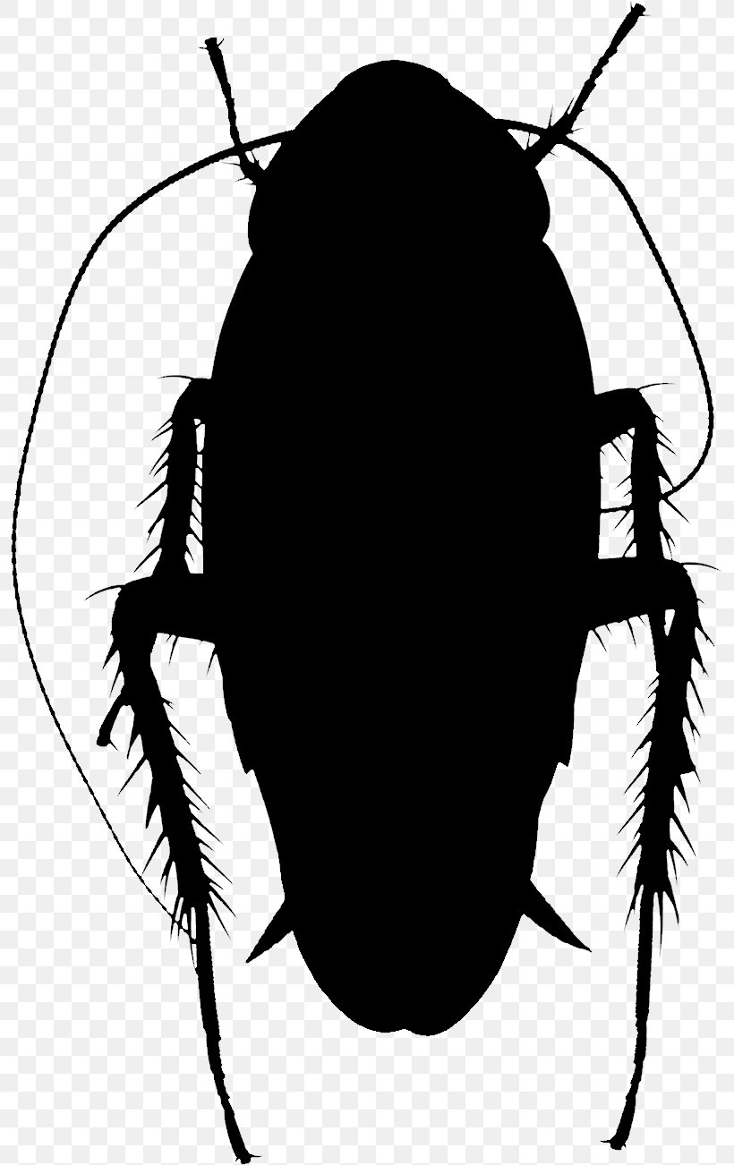 Clip Art Silhouette Insect Membrane, PNG, 795x1302px, Silhouette, Arthropod, Beetle, Blister Beetles, Cetoniidae Download Free