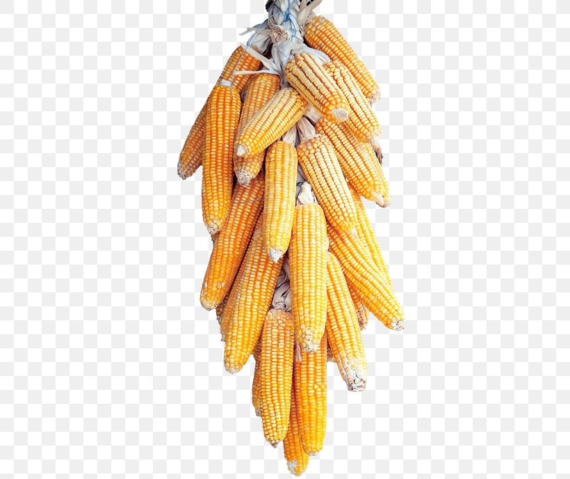 Corn On The Cob Maize Cereal, PNG, 688x688px, Corn On The Cob, Caryopsis, Cereal, Commodity, Corn Syrup Download Free