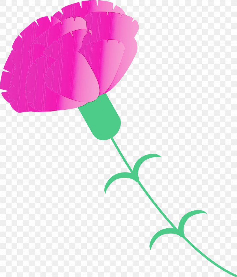 Pink Leaf Plant Flower Plant Stem, PNG, 2568x3000px, Mothers Day Carnation, Cut Flowers, Flower, Leaf, Mothers Day Flower Download Free