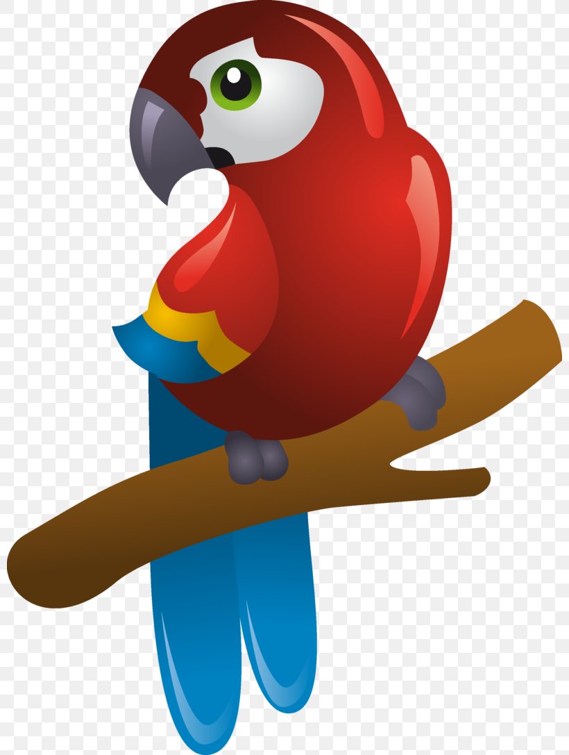 Pirate Parrot Clip Art, PNG, 800x1087px, Parrot, Beak, Bird, Cartoon, Drawing Download Free