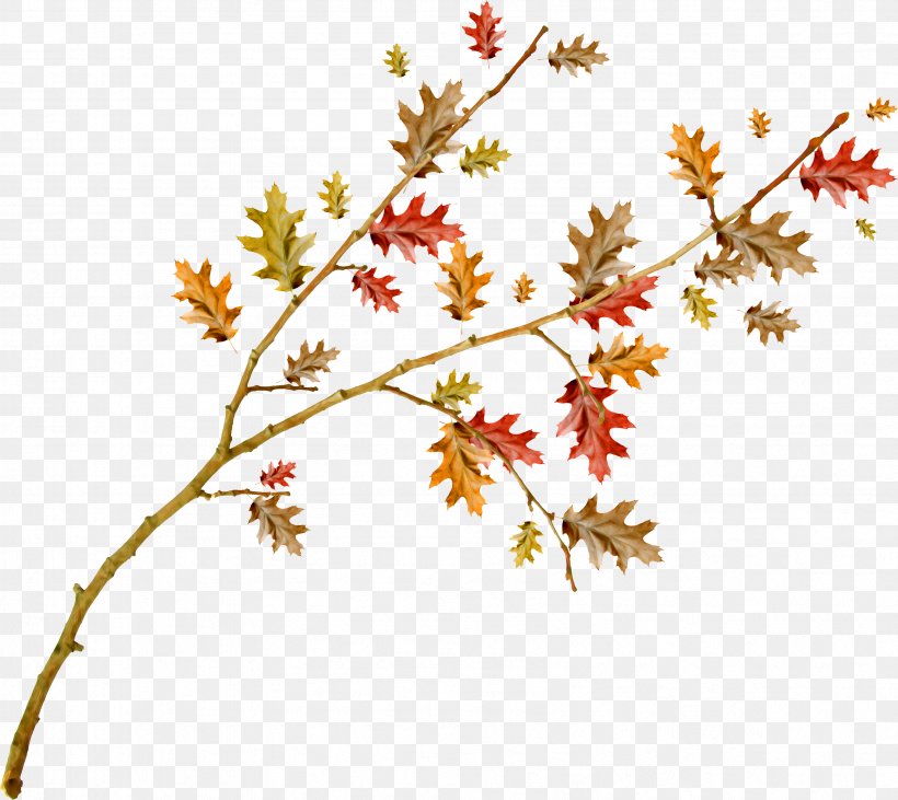 .net Painting Leaf Clip Art, PNG, 3369x3005px, 2018, Net, Advertising, Autumn, Branch Download Free