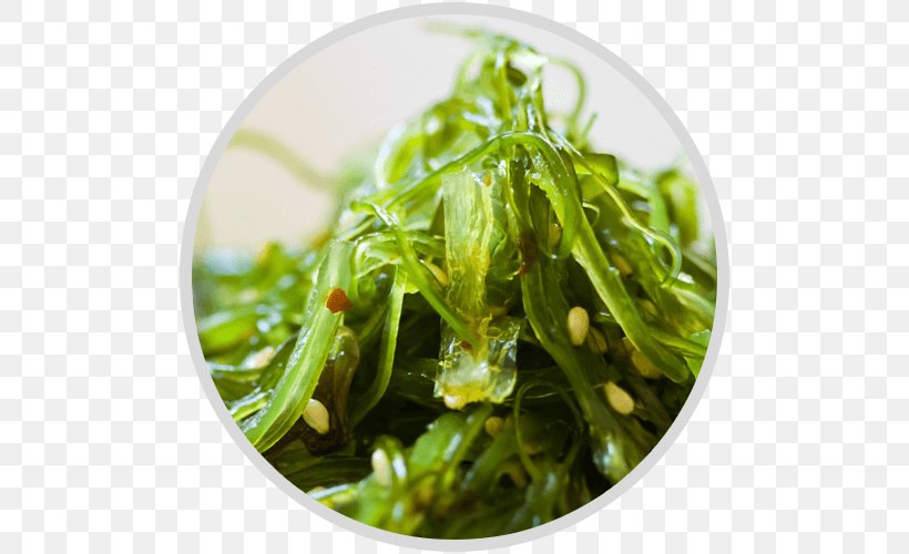 Ramen Miso Soup Edible Seaweed Wakame, PNG, 500x500px, Ramen, Algae, Arame, Dish, Eating Download Free