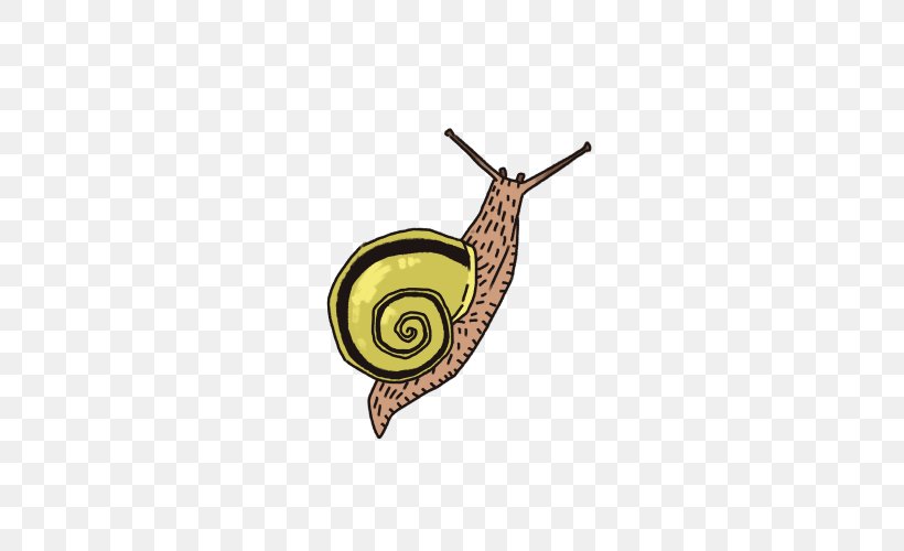 Snail, PNG, 500x500px, Snail, Invertebrate, Molluscs, Snails And Slugs Download Free