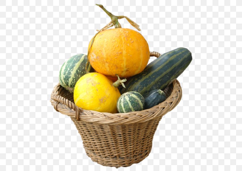Gourd Cucurbita Maxima Pumpkin Vegetable Melon, PNG, 500x580px, Gourd, Acorn Squash, Basket, Calabaza, Citrus Download Free