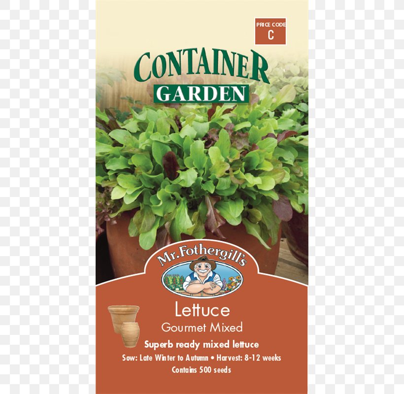 Lettuce Leaf Vegetable Herb Basil Variety, PNG, 800x800px, Lettuce, Basil, Farm, Gourmet, Grass Download Free