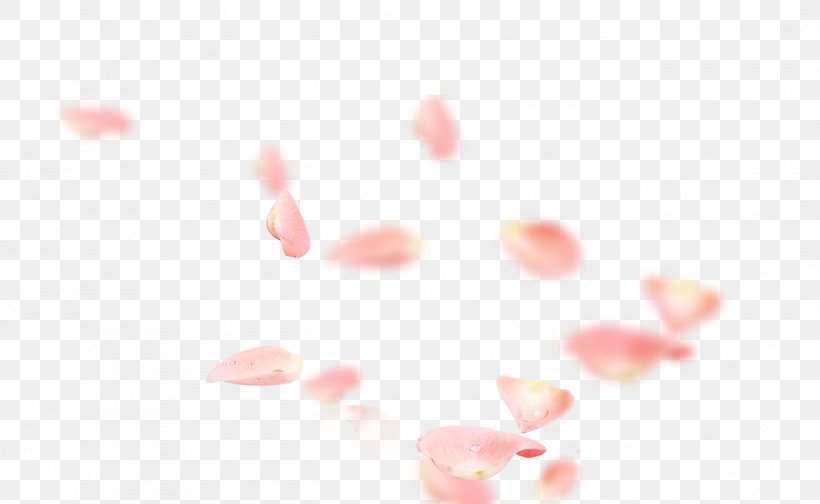 Petal Pink Flower Symbol, PNG, 1300x800px, Petal, Close Up, Designer, Flower, Hand Download Free